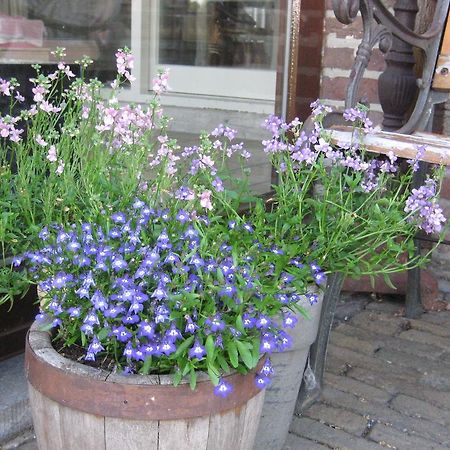 Neerpelt B&B Huize Bex מראה חיצוני תמונה