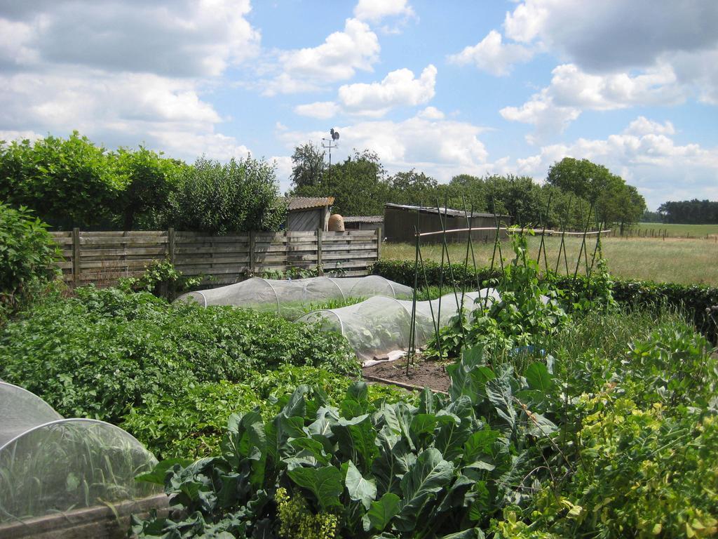 Neerpelt B&B Huize Bex מראה חיצוני תמונה