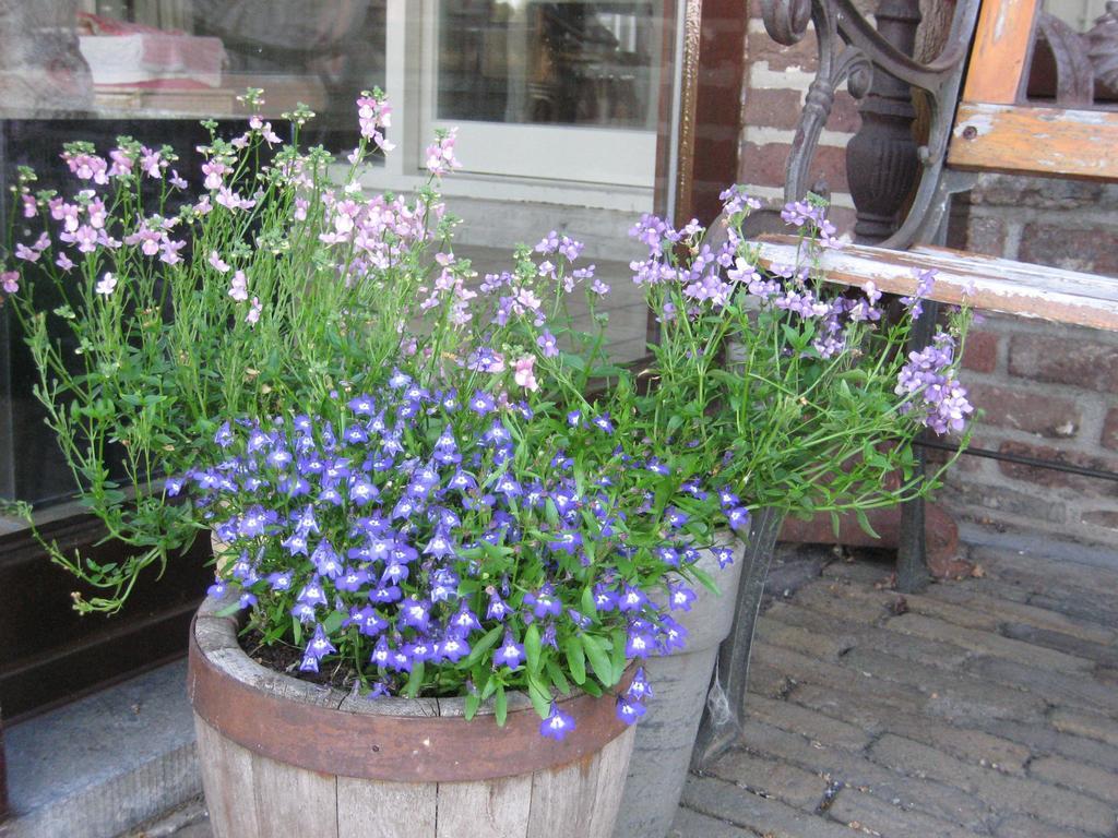 Neerpelt B&B Huize Bex מראה חיצוני תמונה